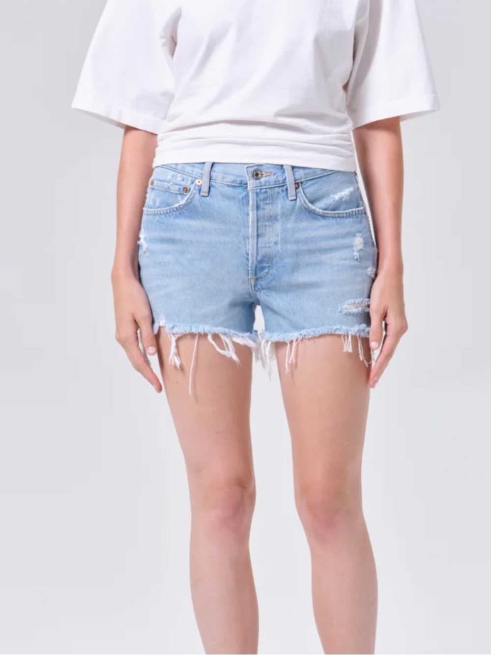 Agolde Parker Vintage Cutoff Shorts Swampmeet